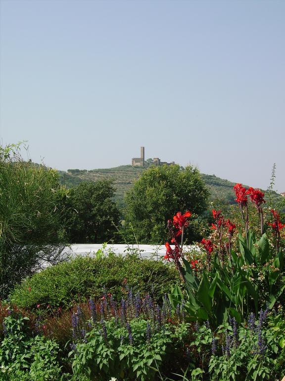 Il Belvedere di Roccavo Villa Castiglion Fiorentino Esterno foto