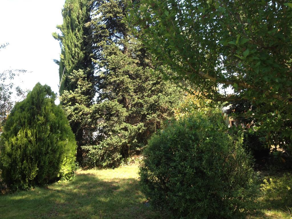 Il Belvedere di Roccavo Villa Castiglion Fiorentino Esterno foto